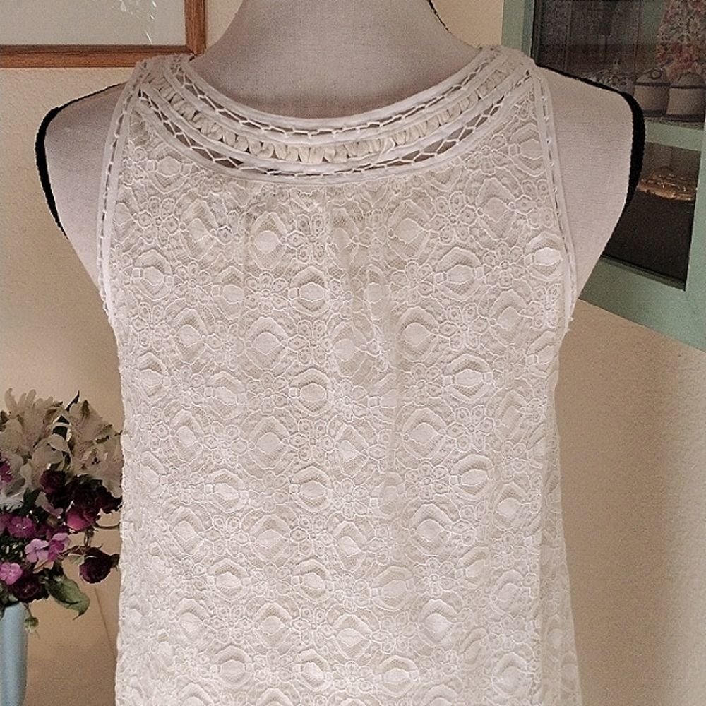 NWT Max Studio Lace Shift Dress - Picture 8 of 13